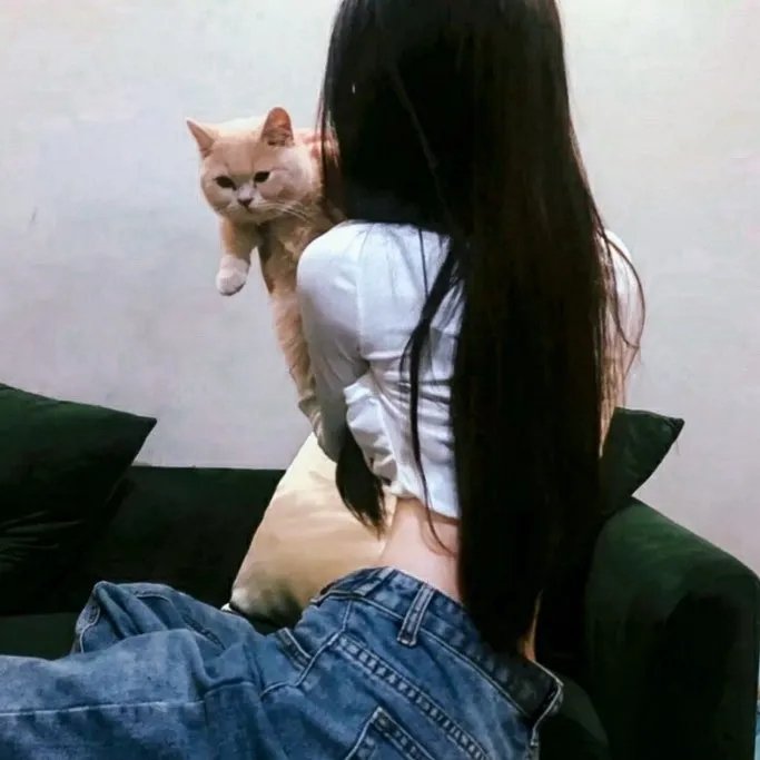 丑闻录带大阴谋